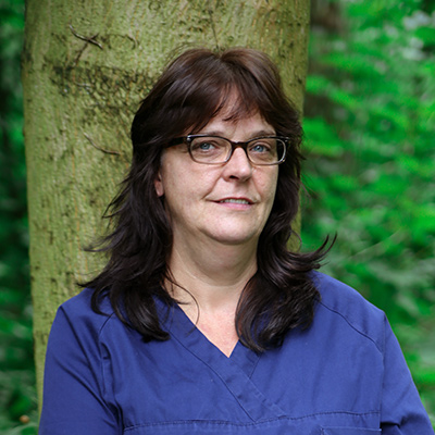 Verena Heuermann Verena Heuermann